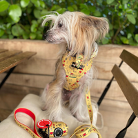 Adjustable Dog Harness - Paws Ahoy