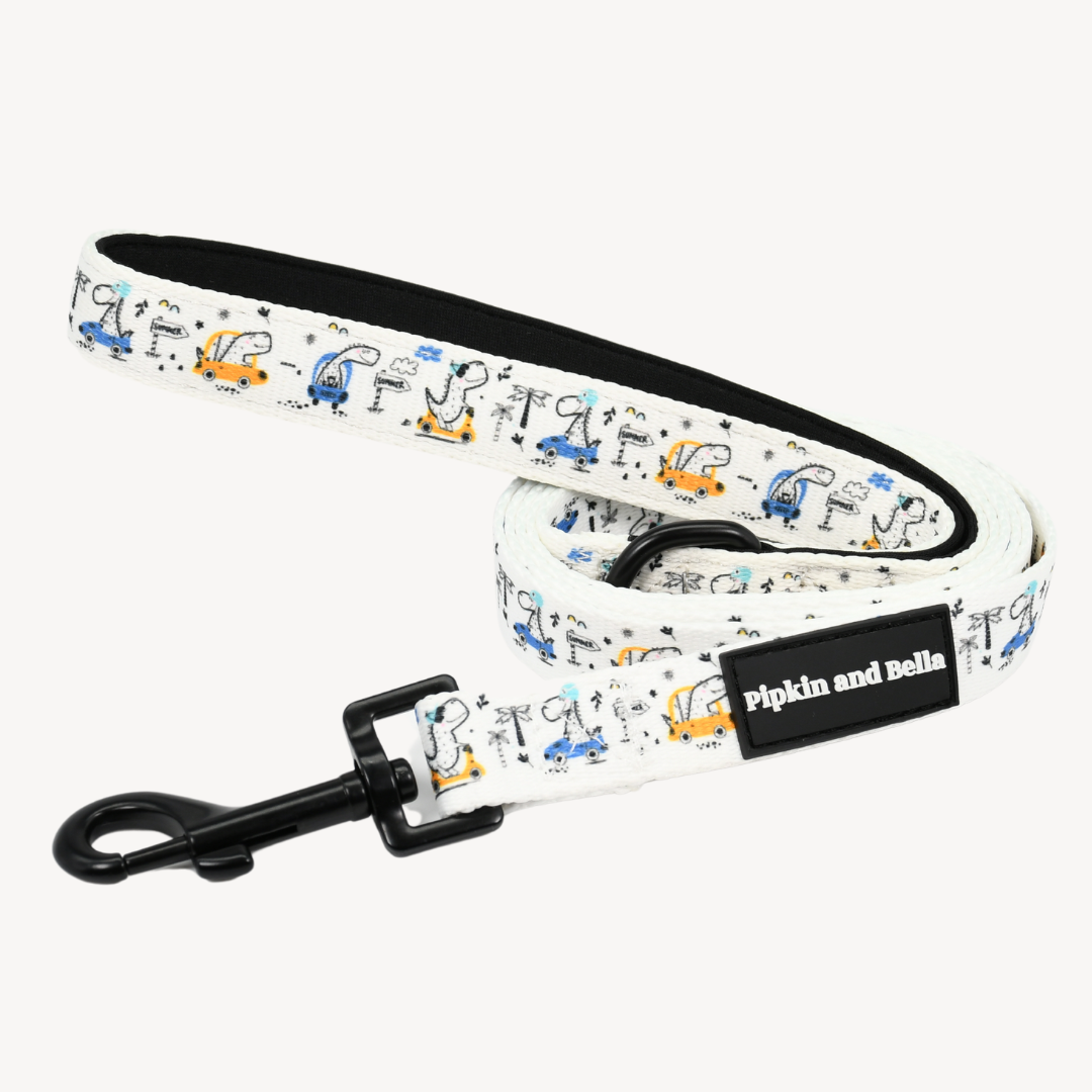 Fabric Dog Lead - Dino Races