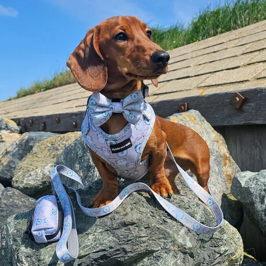 Pet Poop Bag Holder - Tick Tock