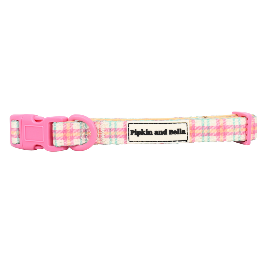 Adjustable Dog Collar - Aurora