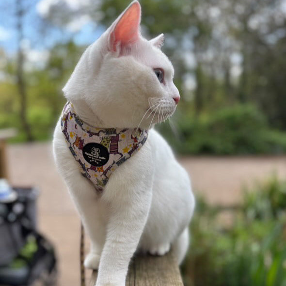 Adjustable Cat Harness - Kitty Cool Cats