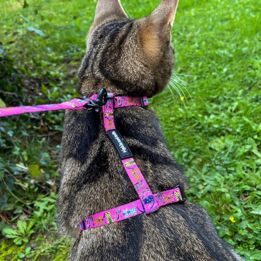 Pipkin and Bella Adjustable Cat Harness Purrfect Catitude Pink