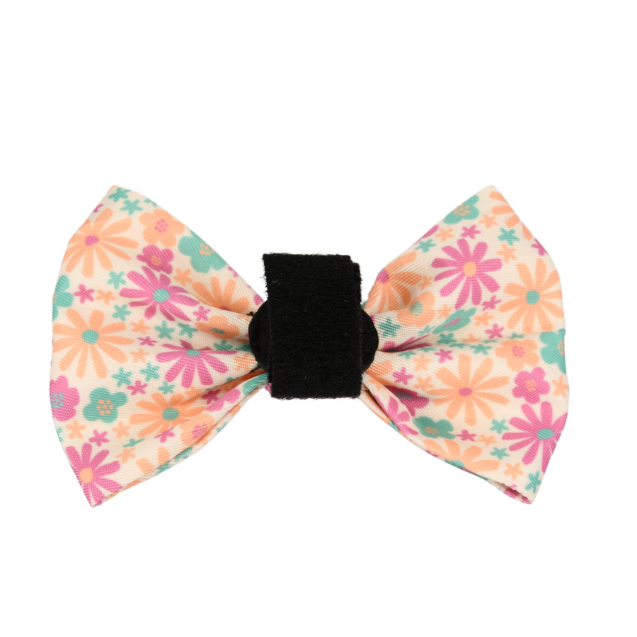 Pet Bow Tie - Blossom