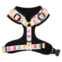 Adjustable Cat Harness - Jellie Bubba