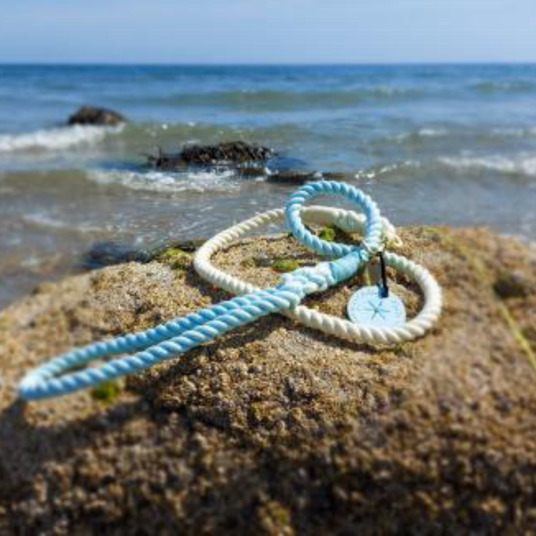 Ombre Rope Dog Lead - Beach