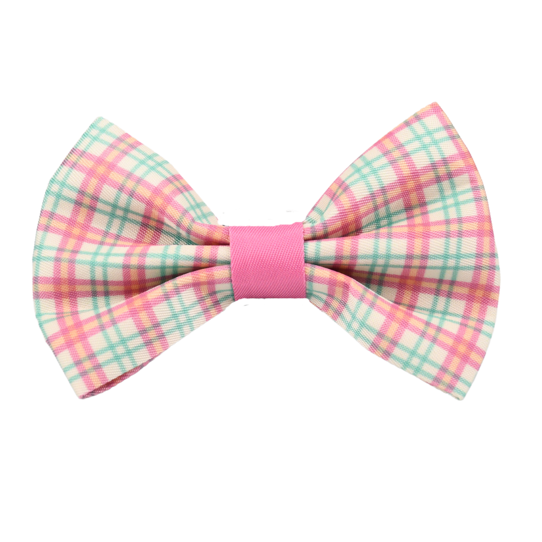 Pet Bow Tie - Aurora