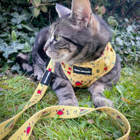 Adjustable Cat Harness - Paws Ahoy