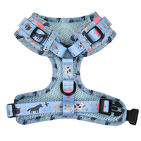 Adjustable Cat Harness - Farmyard Fairy Tale