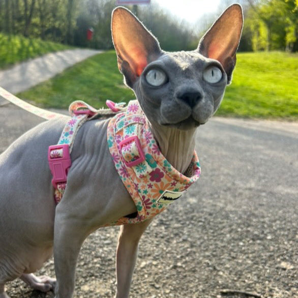 Pipkin and Bella Adjustable Cat Harness - Blossom