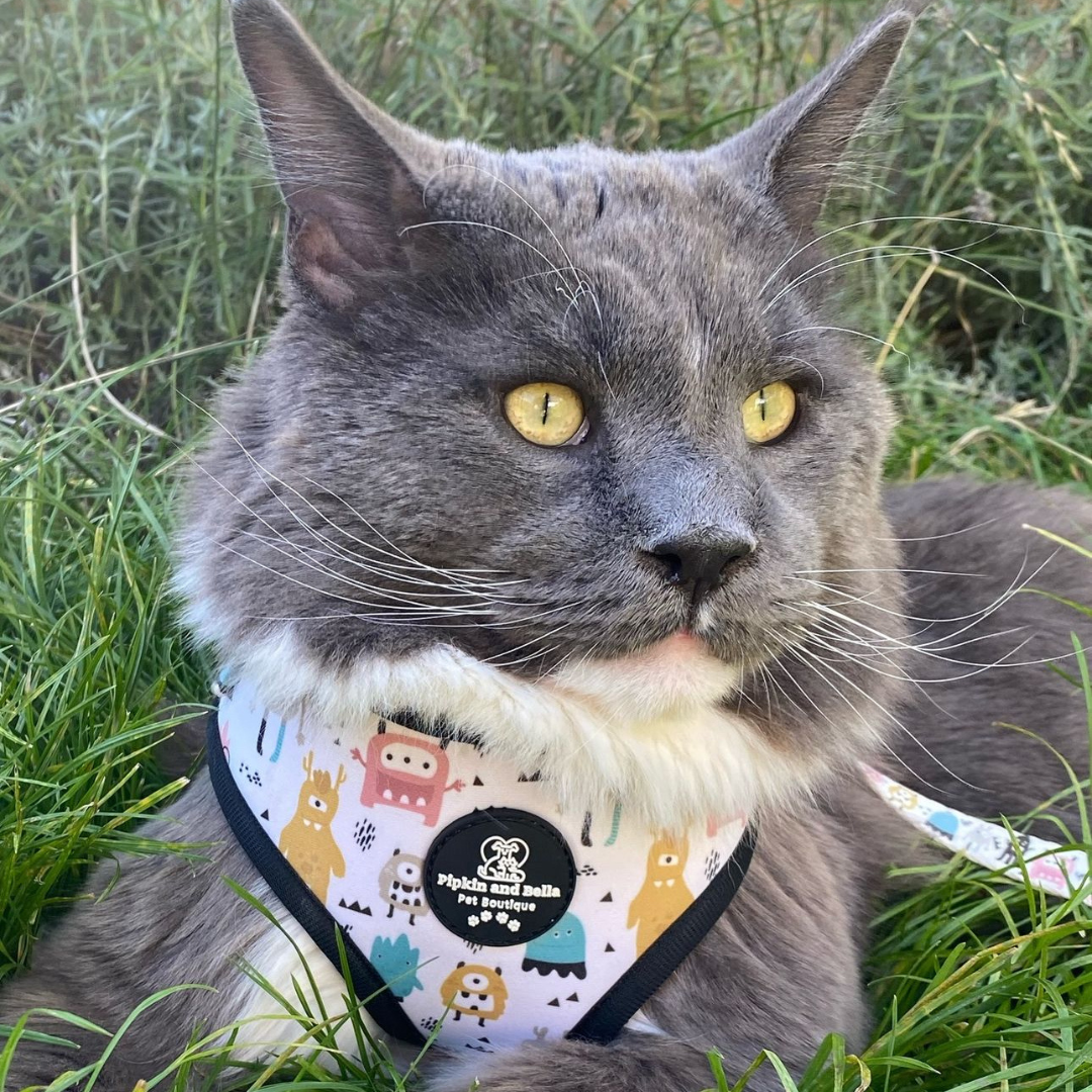 Adjustable Cat Harness - Monster Mash