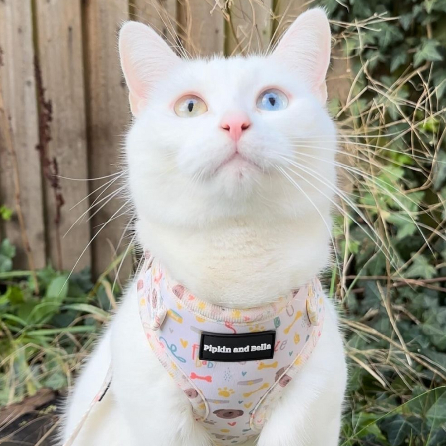 Adjustable Cat Harness - Cute Fur Baby