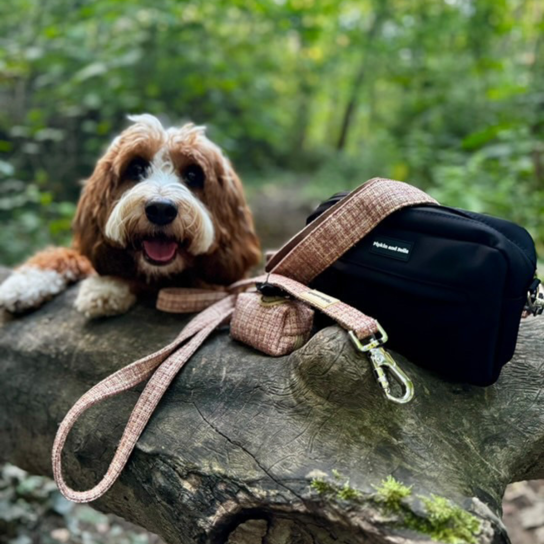 Walking Bag - Midnight Black