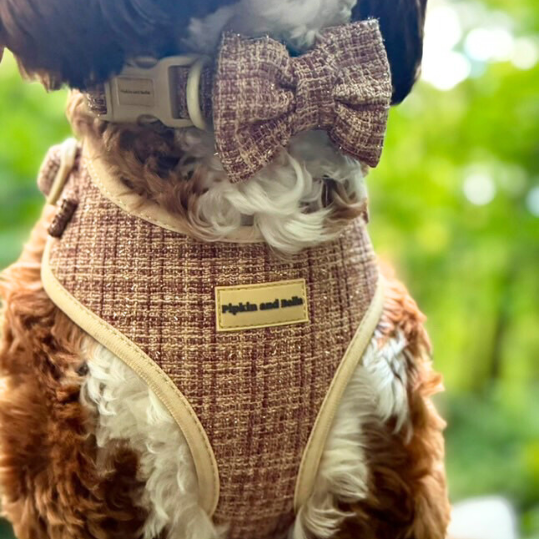 Pet Bow Tie - Highland Spark