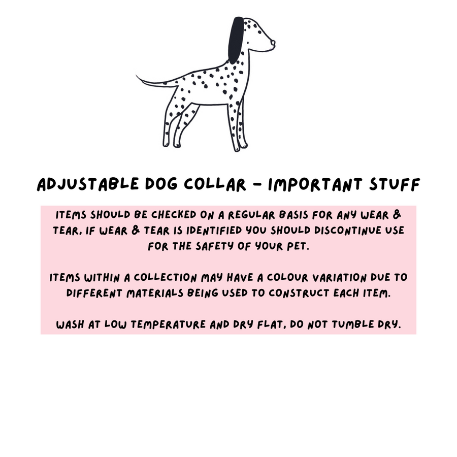 Adjustable Dog Collar - Meadow