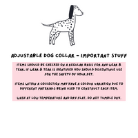Adjustable Dog Collar - Dino Races