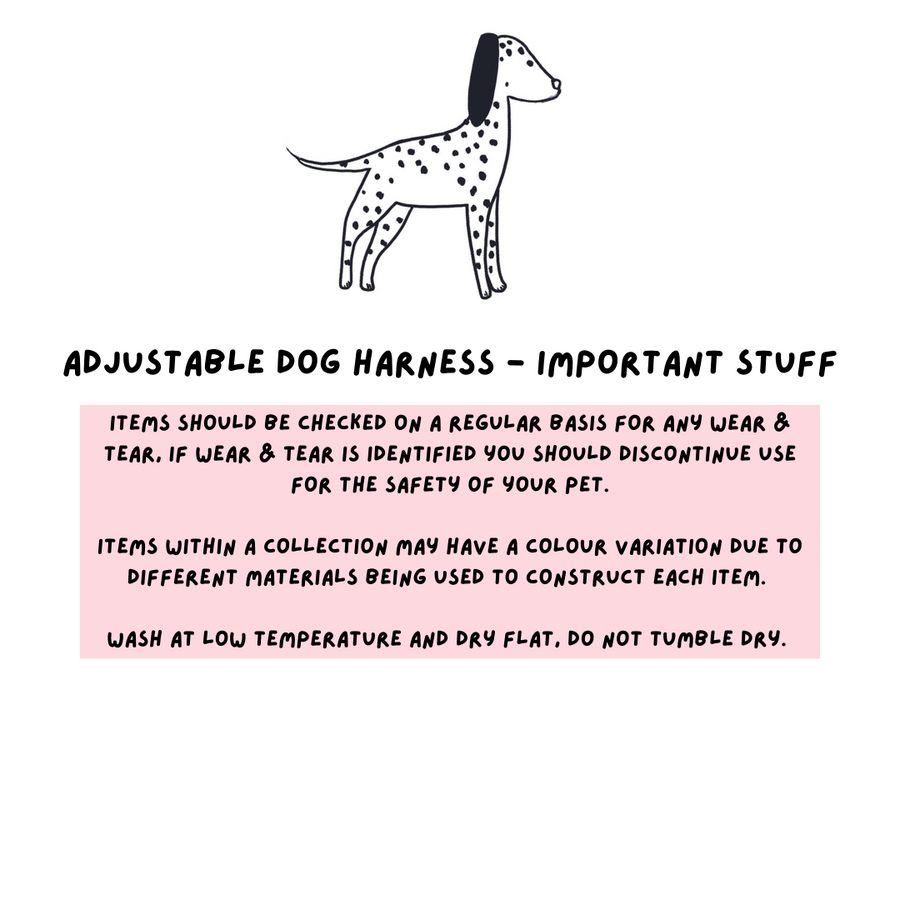 Adjustable Dog Harness - Important Stuff