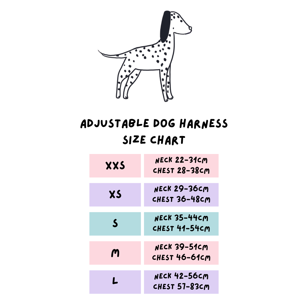 Puppy hot sale harness b&m