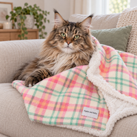 Pet Blanket - Aurora