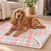 Pet Blanket - Aurora