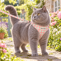 Adjustable Cat Harness - Aurora