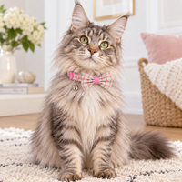 Adjustable Cat Collar - Aurora