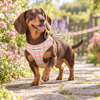 Adjustable Dog Harness - Aurora