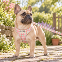 Adjustable Dog Harness - Aurora