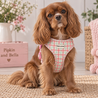 A brown long-haired dog sits on a woven rug wearing a pink and white gingham pet harness with a small black brand label. The background shows a softly styled indoor setting with a pink wooden box, flowers, and a wicker basket.