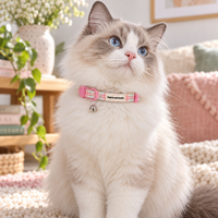 Adjustable Cat Collar - Aurora