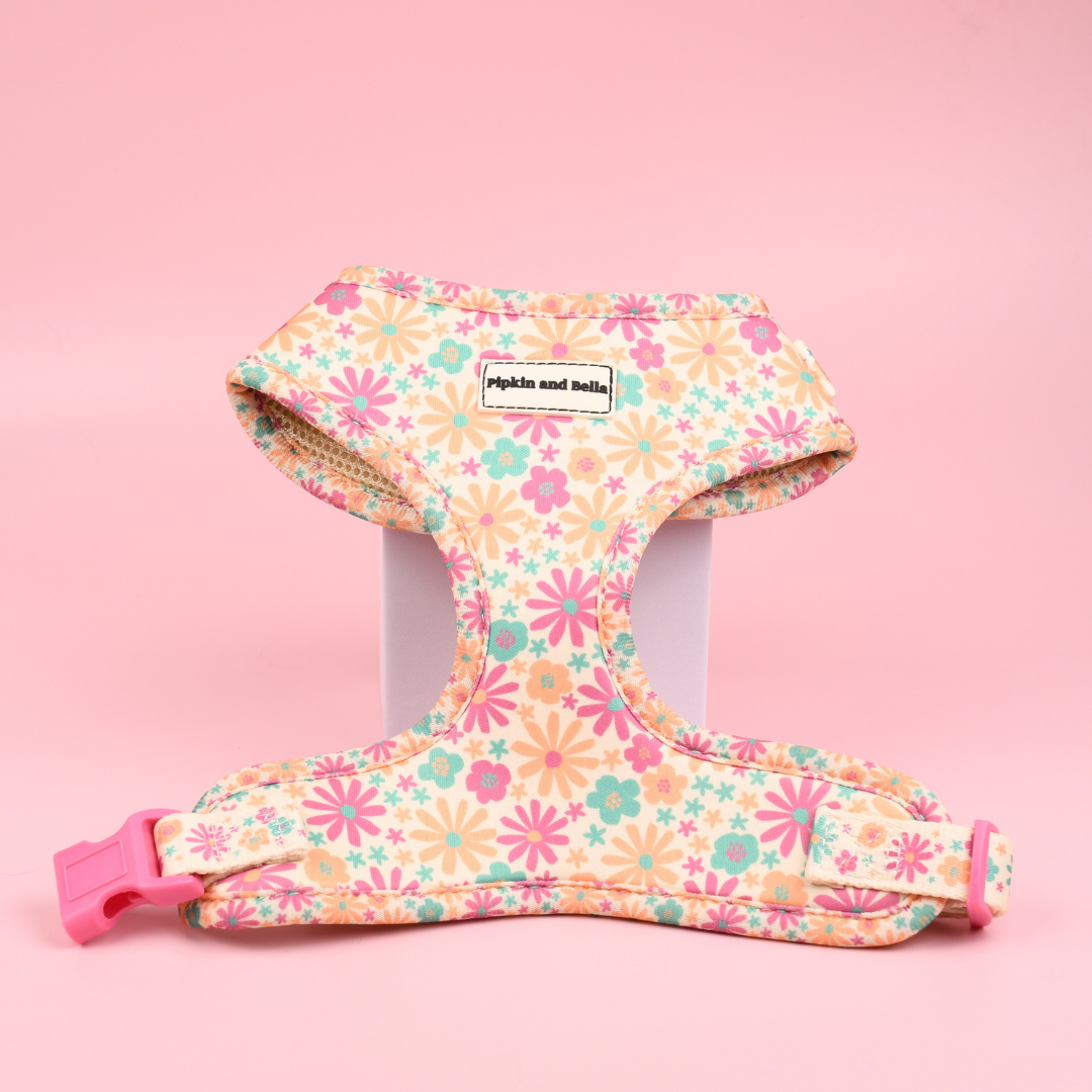Image showcasing Pipkin and Bella Adjustable Cat Harness - Blossom