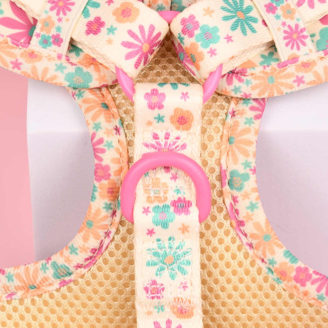 Picture of Pipkin and Bella Adjustable Cat Harness - Blossom