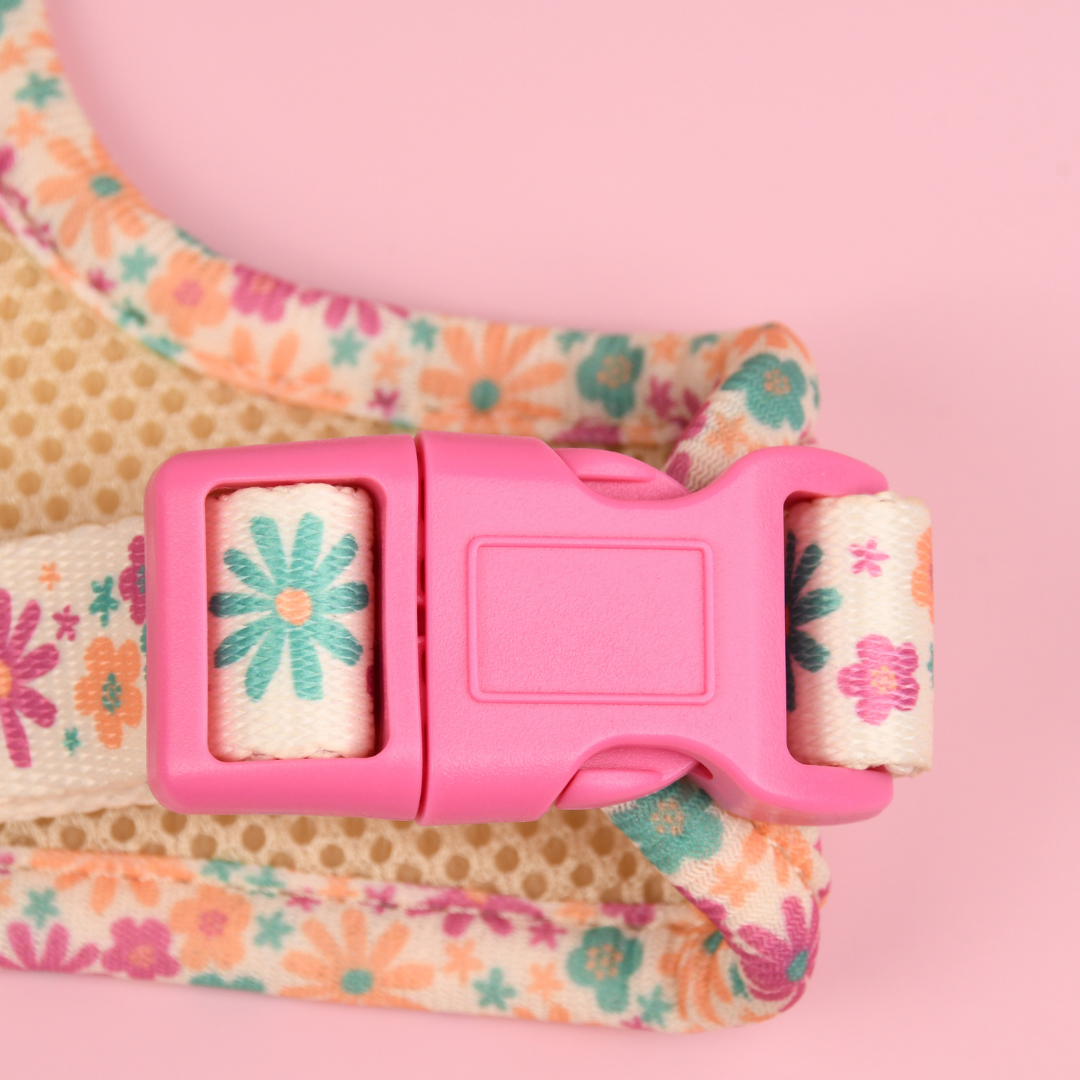 Image showcasing Pipkin and Bella Adjustable Cat Harness - Blossom