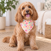 Pet Bandana - Aurora