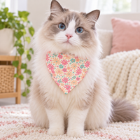 Pet Bandana - Aurora
