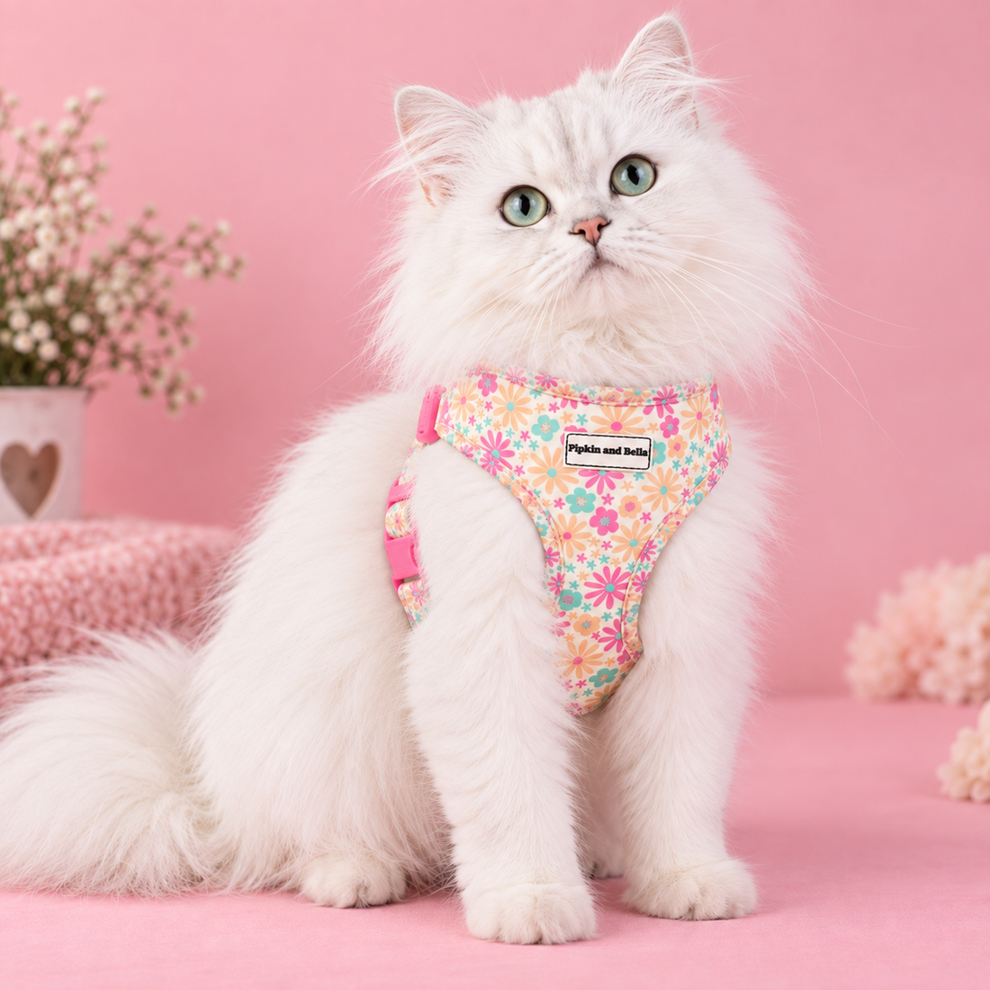 A fluffy white cat wearing a colorful floral harness, sitting on a pink surface against a pink background with decorative flowers.