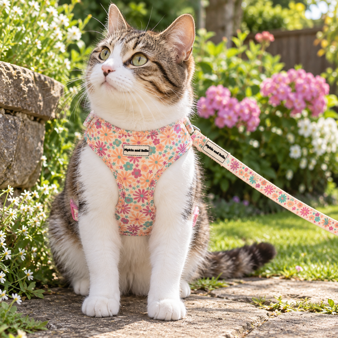 A tabby and white cat wearing a floral-patterned harness and matching leash sits outdoors on a stone path in a garden with green grass and pink flowers in the background.