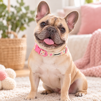 Adjustable Dog Collar - Blossom