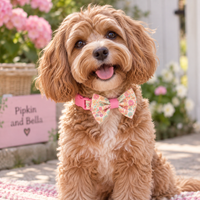 Adjustable Dog Collar - Blossom