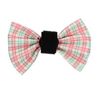 Pet Bow Tie - Aurora