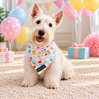 Pet Bandana - Happy Birthday
