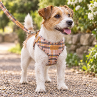 Adjustable Dog Harness - Chestnut Lane