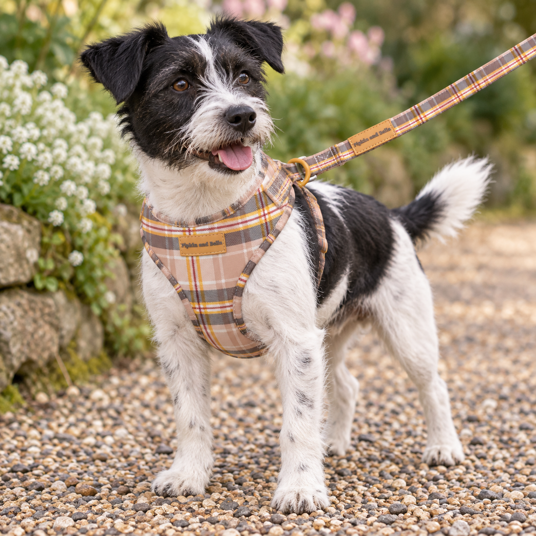 Adjustable Dog Harness - Chestnut Lane