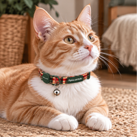 An orange and white cat wearing a red, yellow, and green plaid collar with a small bell, lying on a woven rug in a cozy indoor setting.