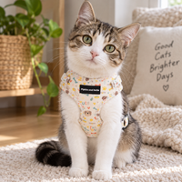 A tabby and white cat wearing a cream-colored harness with colorful cartoon patterns sits on a beige rug in a cozy room setting.