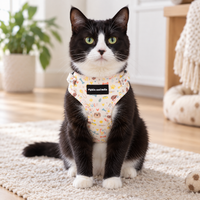 A black and white cat wearing a printed dog harness sits on a cream-colored rug in a bright, modern room. The harness features a playful pattern of cartoon dogs, hearts, and bones on a light cream background, with a black brand label reading 'Pigs and Bella'.