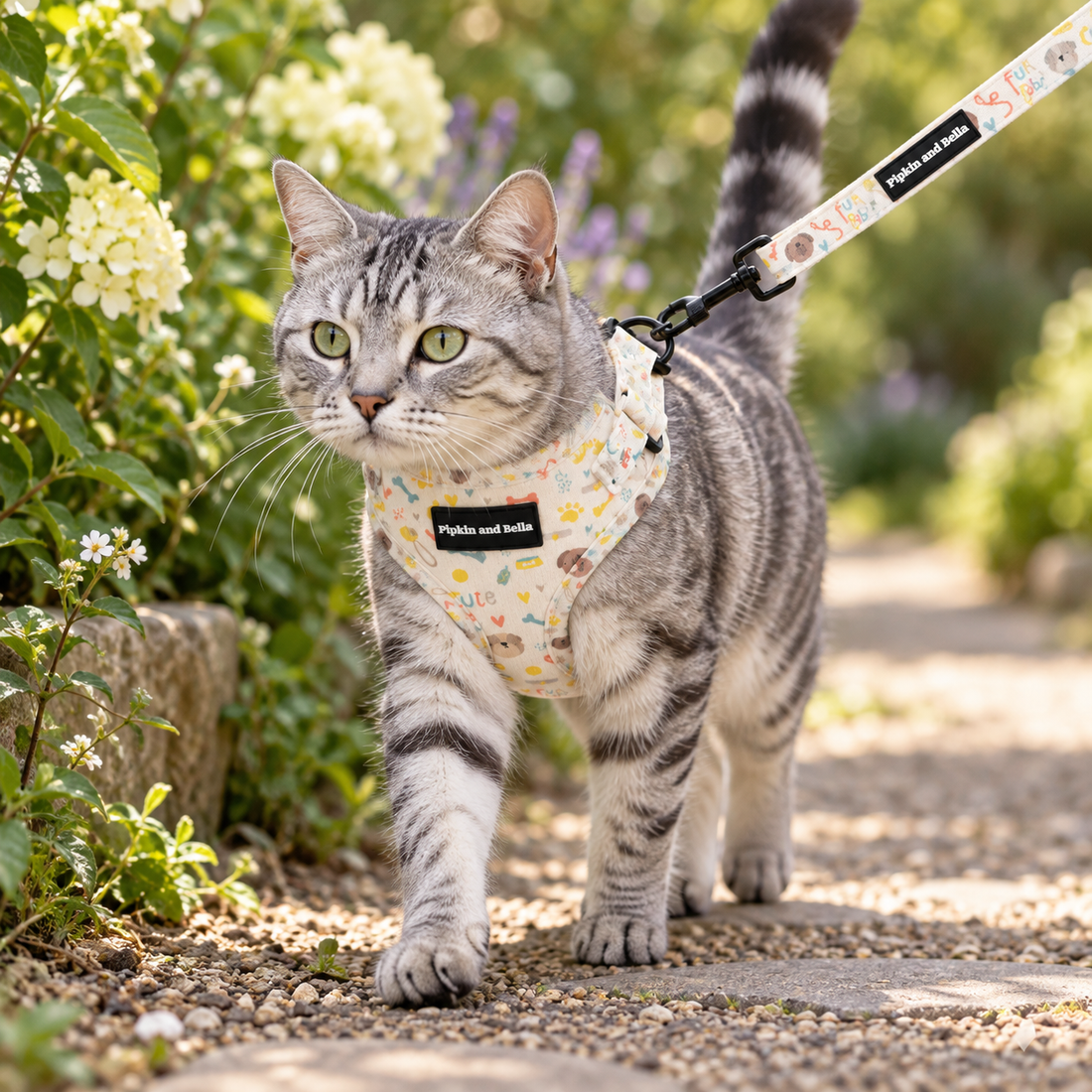 A gray tabby cat wearing a 'Pipkin and Bella' branded harness walks on a gravel garden path with green foliage in the background.