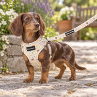 Adjustable Dog Harness - Cute Fur Baby