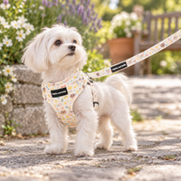 Adjustable Dog Harness - Cute Fur Baby