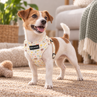 Adjustable Dog Harness - Cute Fur Baby