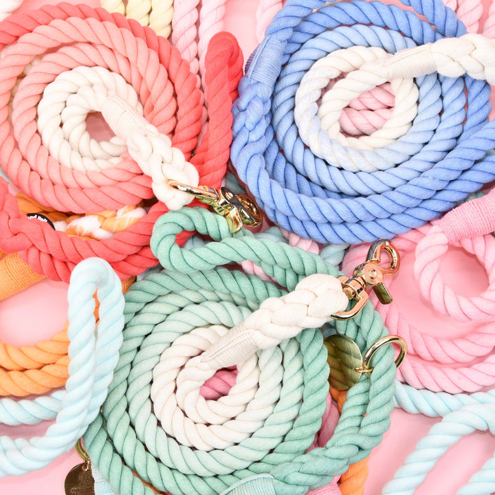 Dog ombre clip leads